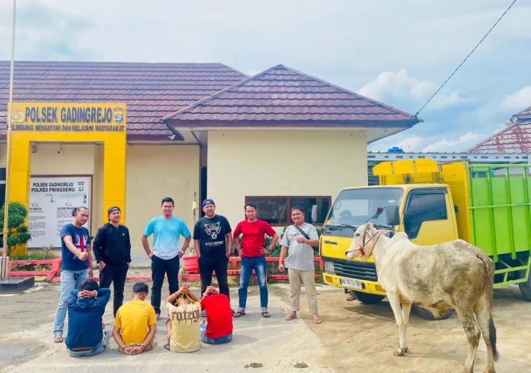 Warga dan Polsek Gadingrejo Gagalkan Aksi Pencurian Sapi Terorganisir