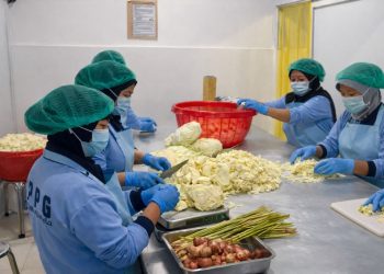 Pelaksanaan Makan Bergizi Gratis Berjalan Sesuai Ketentuan Pemerintah