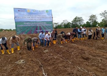 Tanam Serentak Tebu Digelar, Petani Lampung Sambut Antusias