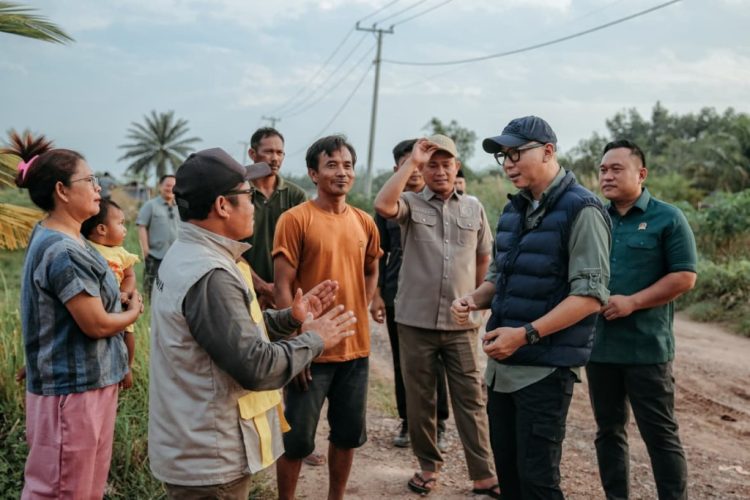 Hilirisasi Ekonomi Kreatif Lampung Dipercepat, Gubernur Mirza Dorong UMKM Naik Kelas