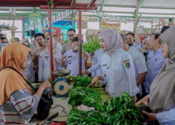 Jelang Lebaran, Pemprov Lampung Intensifkan Pengawasan Harga dan Keamanan Pangan di Pasar Tradisional