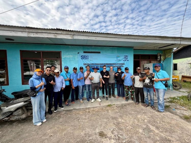 Budidaya Udang Indonesia Punya Potensi Besar, Namun Tantangan Masih Ada