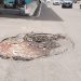 Jalan Berlubang Ancam Keselamatan, Warga Kritik Kebijakan Anggaran Pemkot