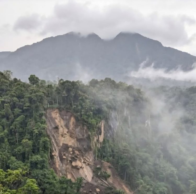 Longsor Gunung Rajabasa Jadi Peringatan Serius, Pemerintah Diminta Tak Lengah