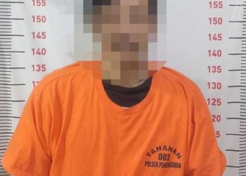 Curi 5 Handphone, Pria di Bakauheni Diringkus Polisi