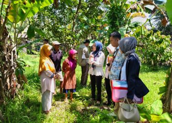 Sengketa Tanah 2026, Tim Pertanahan Pringsewu Verifikasi Data di Lapangan