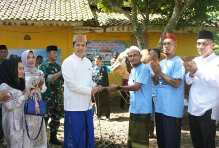 Sapi Kurban 1 Ton dari Presiden Prabowo Jadi Perhatian Warga Jati Agung