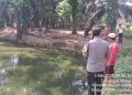 Tragedi di Pekon Purwodadi, Bocah Tenggelam Saat Bermain Dekat Kolam Ikan
