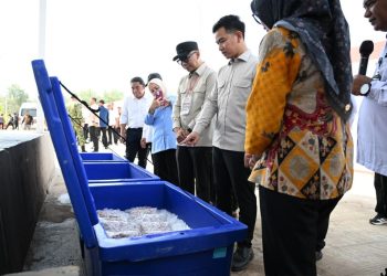Kampung Nelayan Merah Putih Dorong Ekonomi Pesisir Lampung Timur