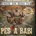 Diskusi Film Pesta Babi Siap Digelar di Kampus Malahayati, Bahas Lingkungan dan Kebebasan Ekspresi