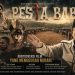 Dibubarkan di Sejumlah Kampus, Film Pesta Babi Memantik Debat Kebebasan Akademik