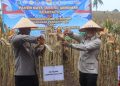 Presiden Prabowo Pimpin Panen Raya Jagung, Lampung Selatan Tunjukkan Dukungan Nyata