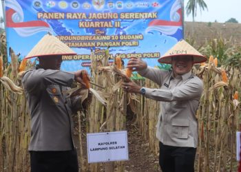 Presiden Prabowo Pimpin Panen Raya Jagung, Lampung Selatan Tunjukkan Dukungan Nyata