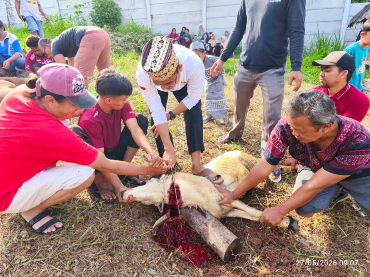 PPTQ MSI Lampung Bagikan Ratusan Paket Daging Qurban untuk Santri dan Warga