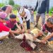 PPTQ MSI Lampung Bagikan Ratusan Paket Daging Qurban untuk Santri dan Warga