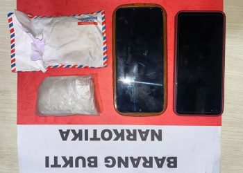 Satresnarkoba Polres Pringsewu Potong Jalur Narkoba Lintas Kabupaten, Kurir Dibekuk di Jalan Raya