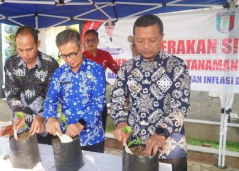 Tanam Cabai dari Rumah, Bupati Pringsewu Targetkan Tekan Inflasi Daerah