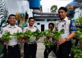 Dari Lahan Pembinaan, Warga Binaan Lapas Kalianda Hasilkan Panen Pakcoy Berkualitas