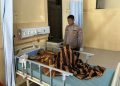Polisi Dalami Dugaan Penganiayaan yang Tewaskan Perempuan Muda di Pringsewu