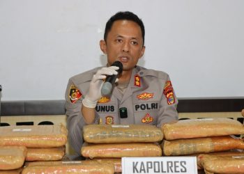 Satres Narkoba Polres Pringsewu Sita 24 Kilogram Ganja, Satu Tersangka Diamankan