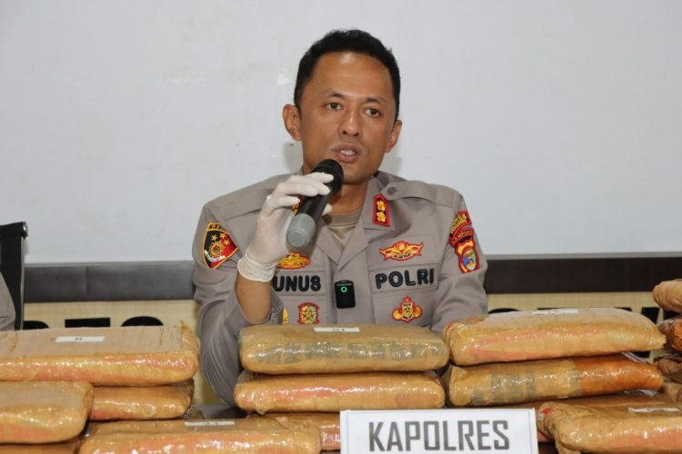 Satres Narkoba Polres Pringsewu Sita 24 Kilogram Ganja, Satu Tersangka Diamankan