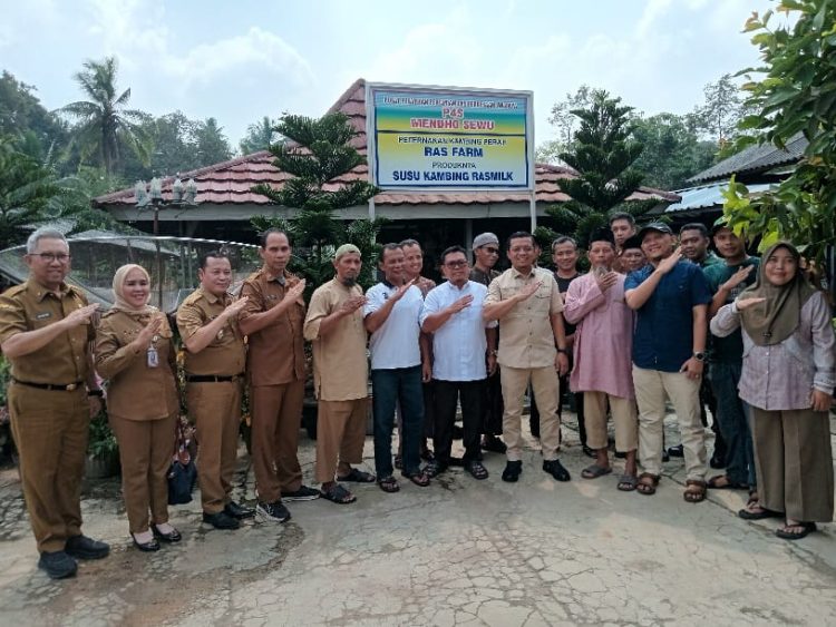 Pringsewu Ditetapkan Jadi Sentra Ternak Kambing dan Domba, Bupati Tinjau Langsung Peternak