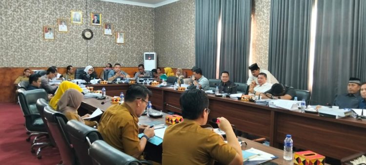 Banggar DPRD Lampung Selatan Desak Evaluasi Total Program Pembinaan UMKM