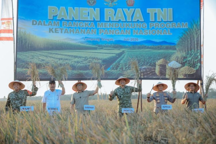 Gubernur Lampung dan Pangdam XXI Ikuti Panen Raya TNI, Dukung Swasembada Pangan Nasional