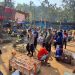 700 Peserta Adu Kecepatan Merpati Kolong di Pringsewu, Total Hadiah Rp50 Juta