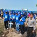 Langit Biru Indonesia Asri, Demokrat Lamsel Tanam Pohon dan Bersihkan Pantai Way Urang