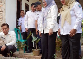 Dari Pekarangan Jadi Ladang Cuan, Program Teras HELAU Siap Diterapkan di Seluruh Lampung Selatan