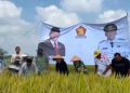 Panen Raya di Desa Tanjung Sari, Erma Yusneli Ajak Perkuat Sinergi Demi Ketahanan Pangan Lampung Selatan