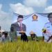 Panen Raya di Desa Tanjung Sari, Erma Yusneli Ajak Perkuat Sinergi Demi Ketahanan Pangan Lampung Selatan