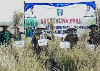 Panen Raya Gadu 2026, Umi Laila: Pertanian Pringsewu Punya Potensi Besar