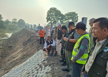 Bukan Sekadar Bangun Fasilitas, Way Kambas Disiapkan Jadi Kiblat Konservasi Gajah Dunia