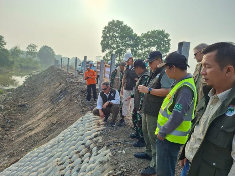 Bukan Sekadar Bangun Fasilitas, Way Kambas Disiapkan Jadi Kiblat Konservasi Gajah Dunia