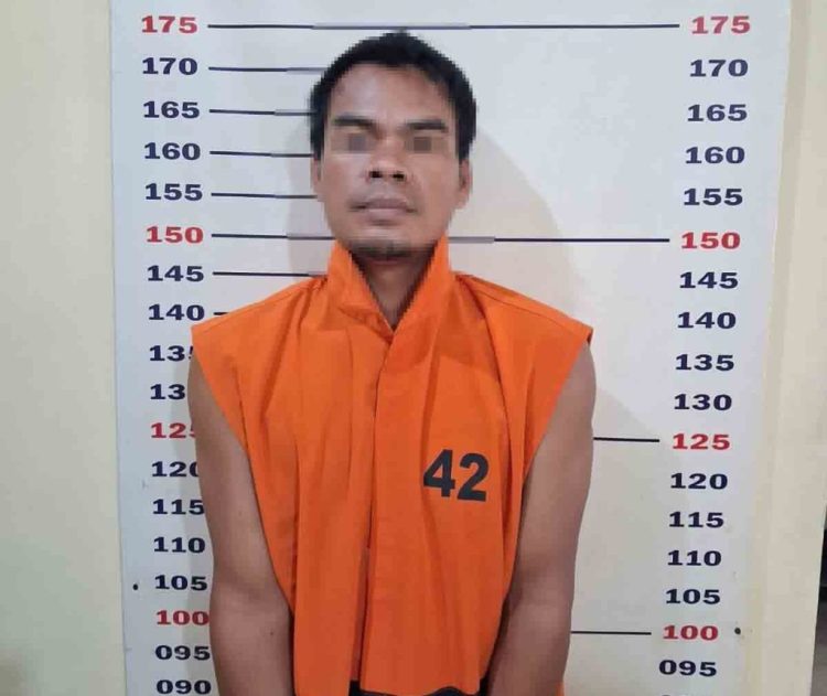 Curanmor Beruntun di Lampung Selatan Terbongkar, Hendra Diduga Terlibat di 5 TKP