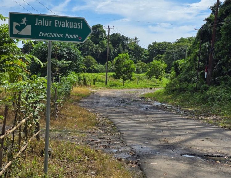 Jalan Pesisir Selatan Jadi Akses Ekonomi dan Evakuasi, LSM PRO RAKYAT Soroti Kondisinya