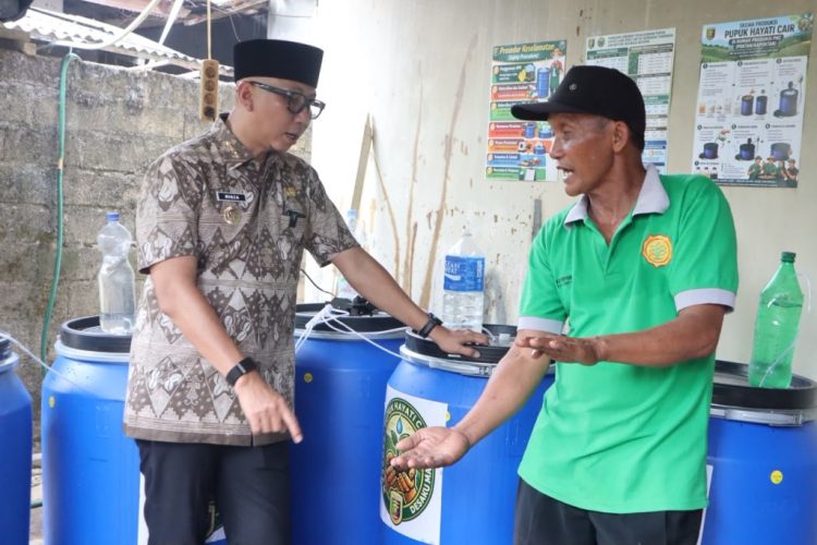 Pakai PHC, Hasil Panen Padi Petani Lampung Tengah Disebut Naik hingga 6,5 Ton per Hektare