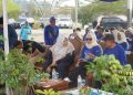 Demokrat Pringsewu Gandeng Pemkab, Gelar Bersih-Bersih dan Tanam 50 Pohon