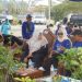 Demokrat Pringsewu Gandeng Pemkab, Gelar Bersih-Bersih dan Tanam 50 Pohon