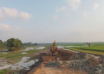 Warga Rela Kehilangan Lahan, Tanggul Pembatas Jadi Harapan Akhiri Konflik Gajah