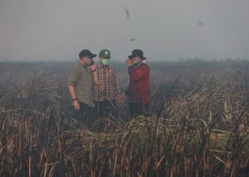 Api Muncul Lagi di Braja Harjosari, Gubernur Mirza Perintahkan Mitigasi Cegah Kebakaran Meluas