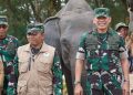 Dari Lebah hingga Thailand, Way Kambas Bangun Strategi Baru Hidup Berdampingan dengan Gajah