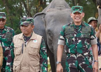 Dari Lebah hingga Thailand, Way Kambas Bangun Strategi Baru Hidup Berdampingan dengan Gajah