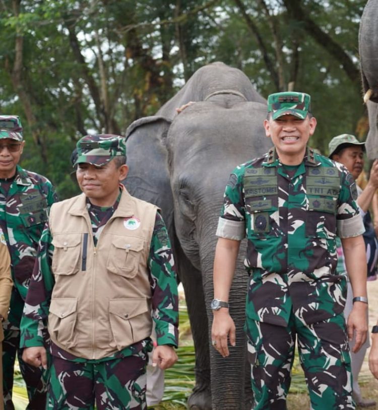 Dari Lebah hingga Thailand, Way Kambas Bangun Strategi Baru Hidup Berdampingan dengan Gajah
