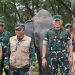Dari Lebah hingga Thailand, Way Kambas Bangun Strategi Baru Hidup Berdampingan dengan Gajah