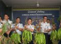 Dari Lahan Pembinaan, WBP Lapas Kalianda Panen Pete dan Pare