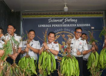 Dari Lahan Pembinaan, WBP Lapas Kalianda Panen Pete dan Pare