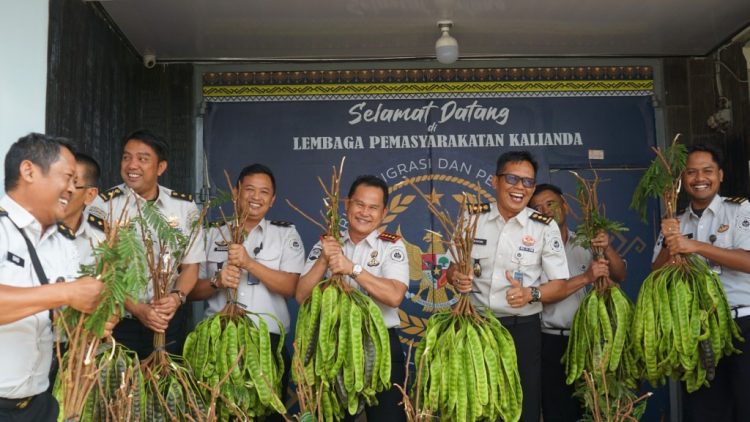 Dari Lahan Pembinaan, WBP Lapas Kalianda Panen Pete dan Pare